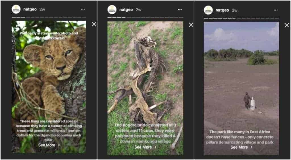  National Geographic's Instagram story featuring a poll asking viewers to vote for their favorite wildlife photograph.